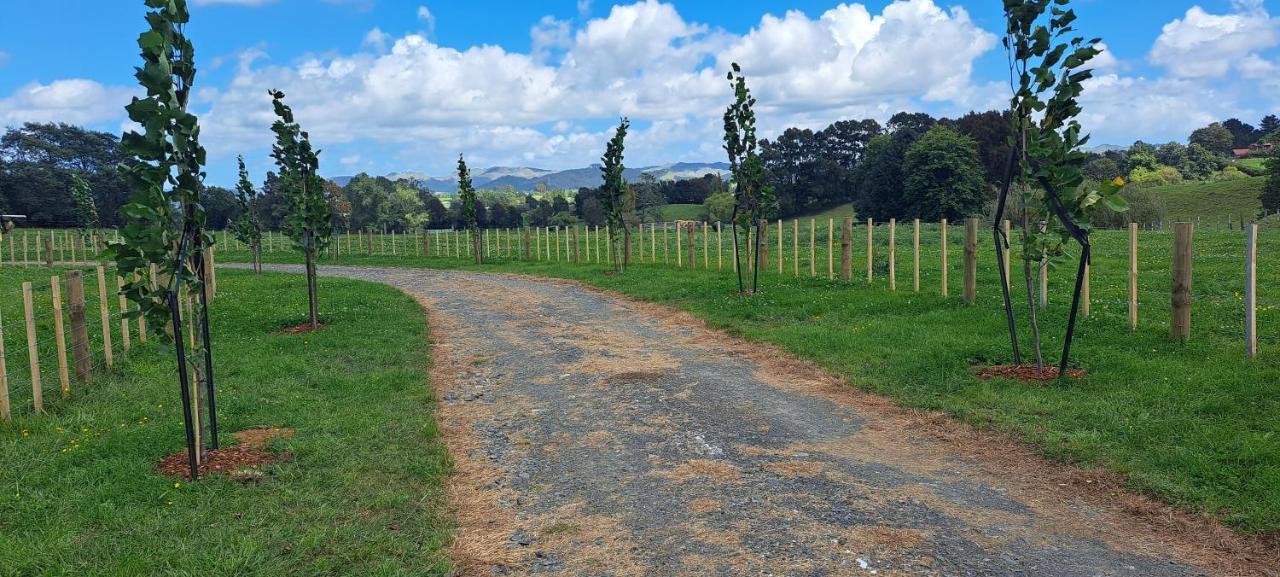 Country Comfort - Only 10 Minutes From Hamilton Cbd Exterior photo