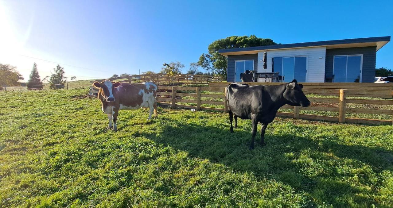 Country Comfort - Only 10 Minutes From Hamilton Cbd Exterior photo