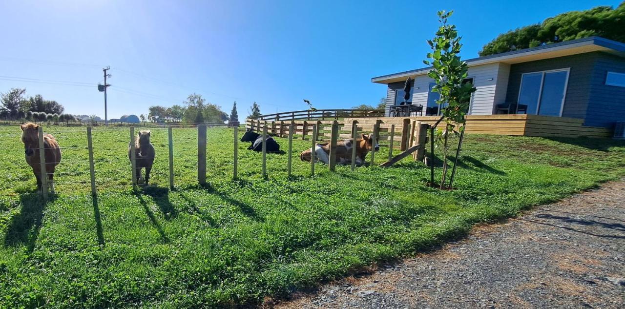 Country Comfort - Only 10 Minutes From Hamilton Cbd Exterior photo
