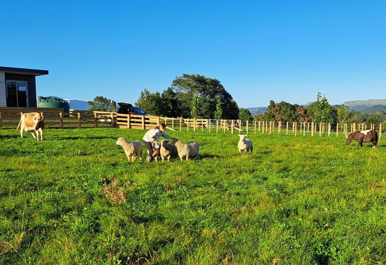 Country Comfort - Only 10 Minutes From Hamilton Cbd Exterior photo