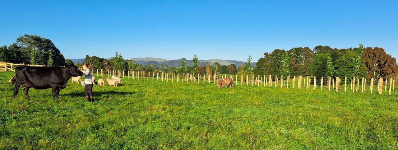 Country Comfort - Only 10 Minutes From Hamilton Cbd Exterior photo