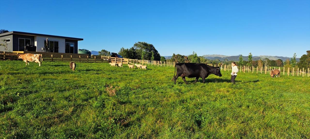 Country Comfort - Only 10 Minutes From Hamilton Cbd Exterior photo